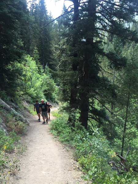 Trail starts off wider and steep.  Photo on Aug 2, 2016