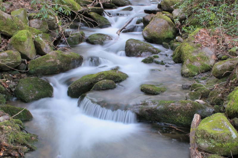 Stream feeding Big Creek.