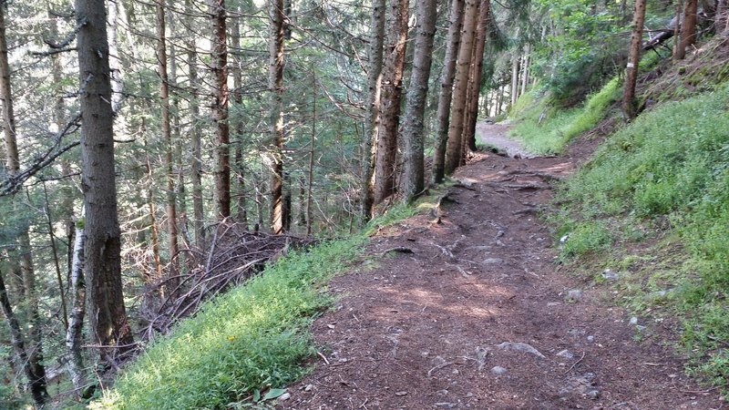 A typical stretch of the Petit Balcon Sud.