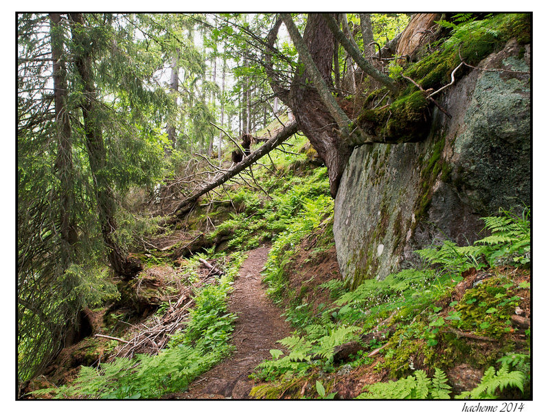 Along the climb to Montenvers