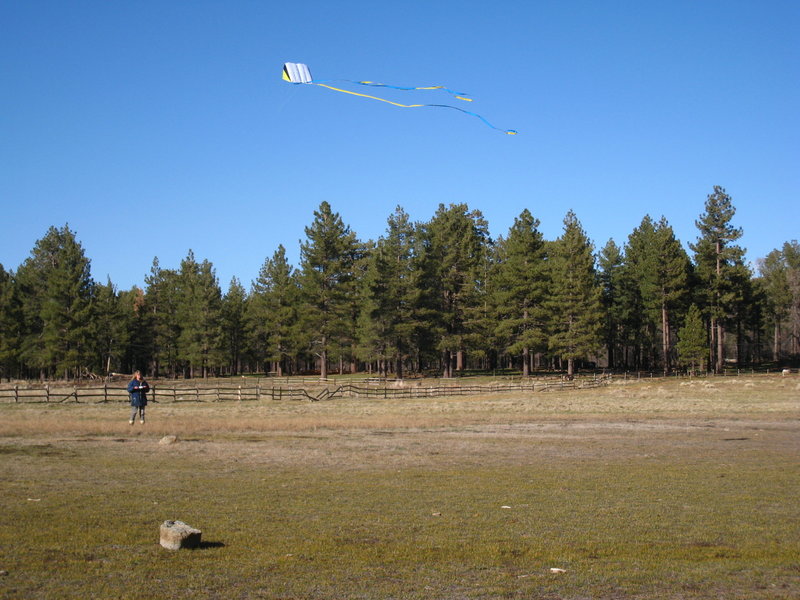 Nice meadow to fly a kite.