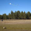 Nice meadow to fly a kite.