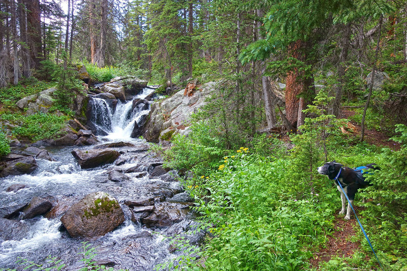 A beautiful section of Boulder Creek that is passed on the way to Upper Boulder Lake.