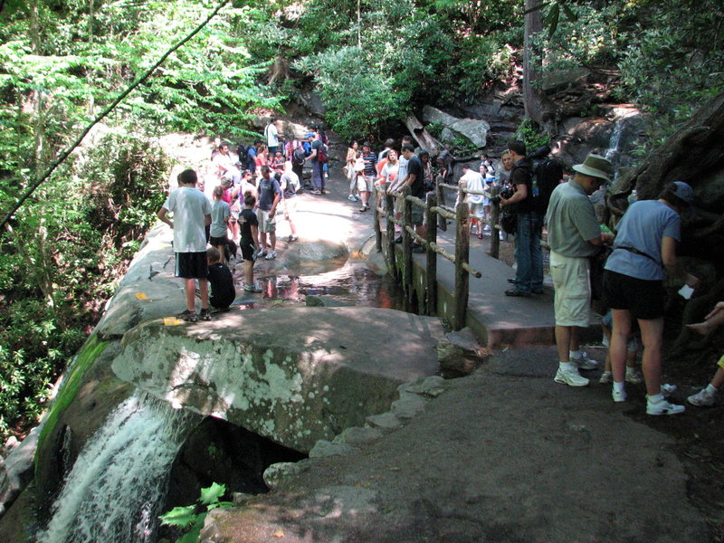 A busy day at Laurel Falls.