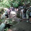 A busy day at Laurel Falls.