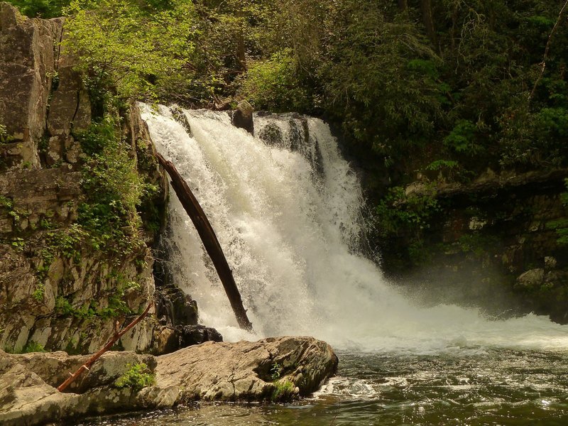 Abrams Falls. with permission from RAllen