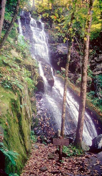 Hen Wallow Falls - courtesy of the National Park Service.