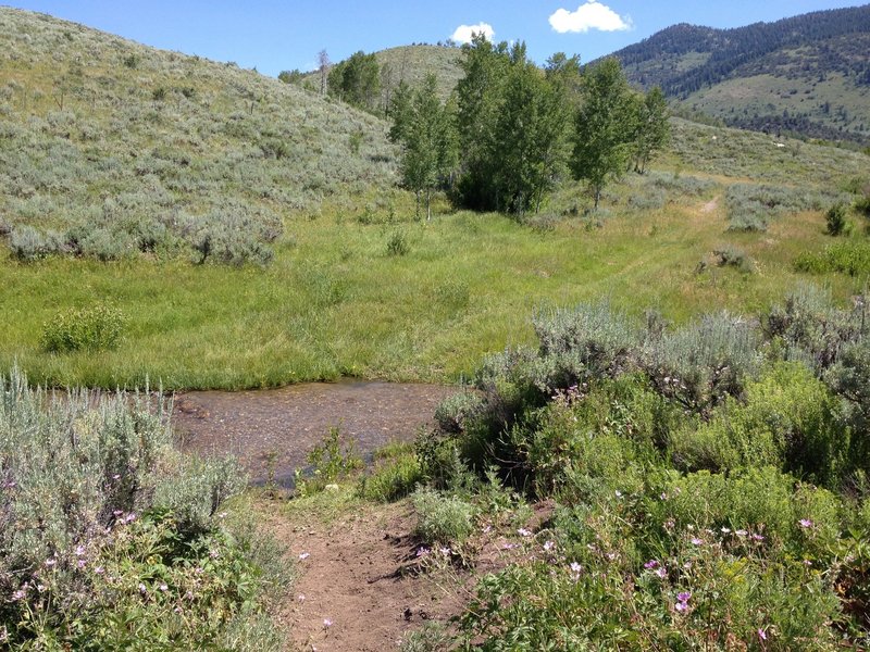 Spawn Creek Crossing, you can head through the creek or go up to the right a bit and there is a log crossing.