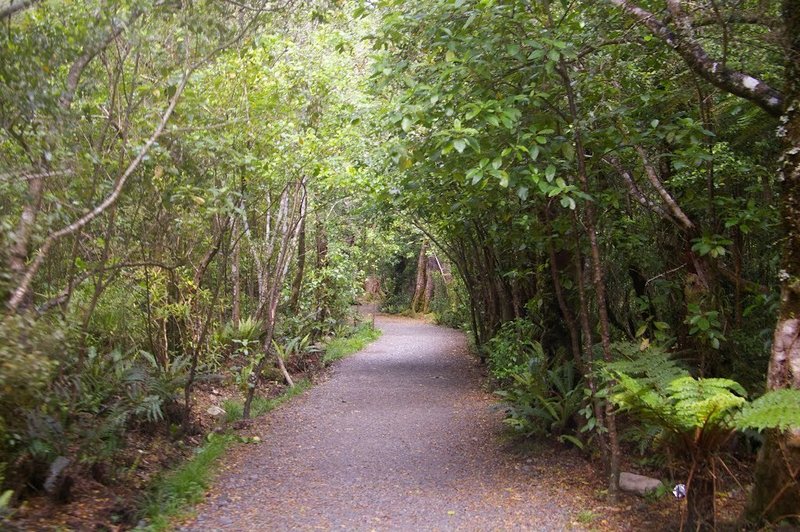 Groomed trail heading into the Atiwhakatu valley.