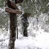 Historic "Old Sign Post" in the snow.