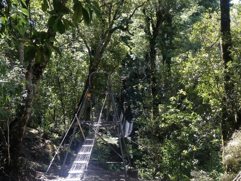 Wire Rope Bridge on the Atiwakatu Track.