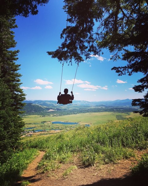 Just south of Grand Teton National Park in Teton village. About a mile and a half up the Wildflower Trail.