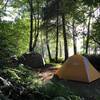 Coastal Redwoods camping.