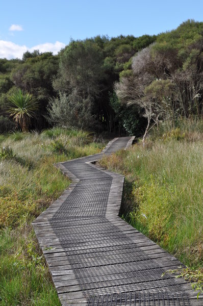 'Floating' boardwalk on Lake Ngaroto.