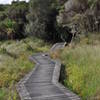 'Floating' boardwalk on Lake Ngaroto.