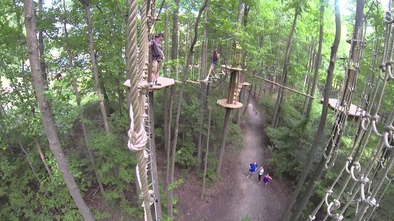 GoApe section of the park. Great family fun and one of the park's main attractions.