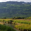 Looking west across the salmon stream near the ocean on Homestead Trail.