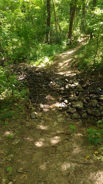 Small creek crossing the path.