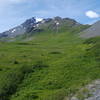 Looking up at the ridge just after emerging from the last switchback on the Ridge Trail.