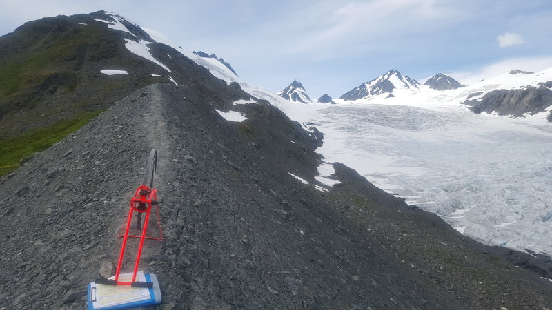 Rounding off the top of the fin during the 2016 trail assessment. The best job ever!!