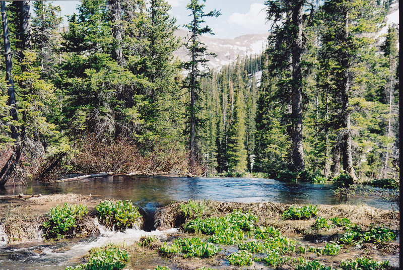 Missouri Lakes Trail. with permission from dreamer 200