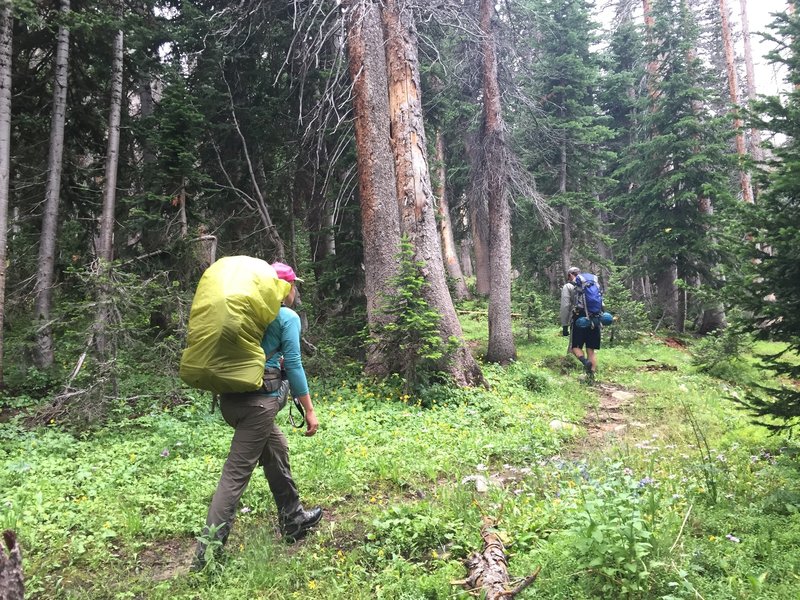 Heading up the Lone Pine Trail.