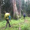 Heading up the Lone Pine Trail.