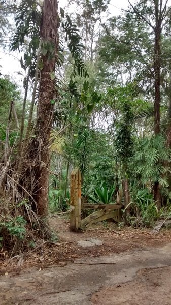 Entrada da trilha para a rampa antiga e outras - The entrance to the Old Ramp and other trails.