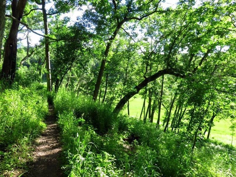 Love this segment of the Ice Age Trail. So green in the summer of 2016