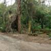 Visão da Porteira Quebrada, entrada da trilha da Rampa Antiga - Another view of the trailhead