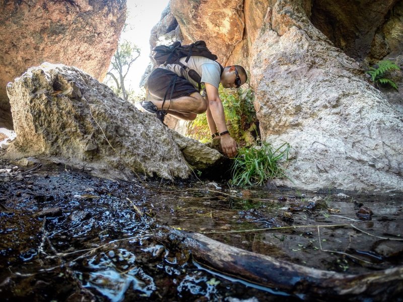 Pinnacles natural waters