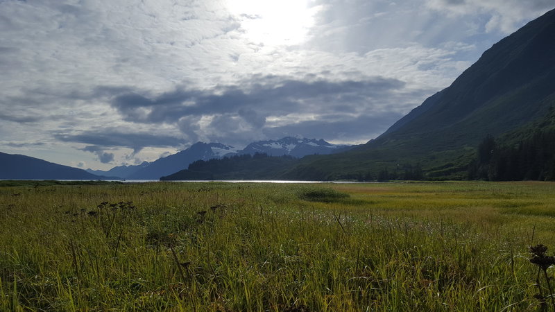 Looking towards Anderson glacier from the gold Creek Meadow