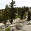 First snow of the season along the Tahoe Rim Trail.