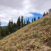 Steep sloping along the Castle Peak Trail.