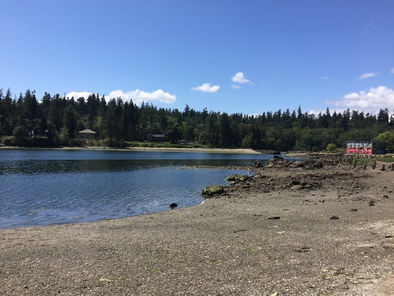 Mill Pond at low tide.