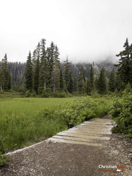 Just after the trailhead.