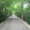 One of the very beautiful wooded areas of the trail.