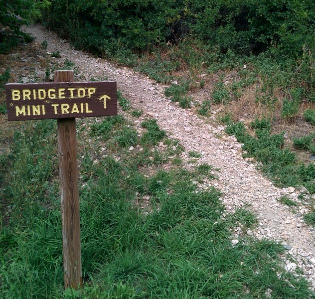 Trailhead marker pointing where the trail begins on the south side of the bridge.