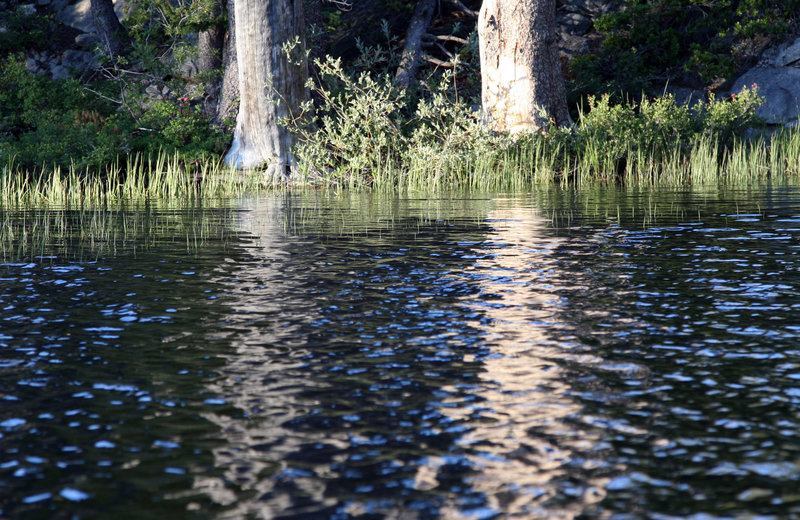 Glimmering water welcomes summer sun along Loch Leven Lakes.