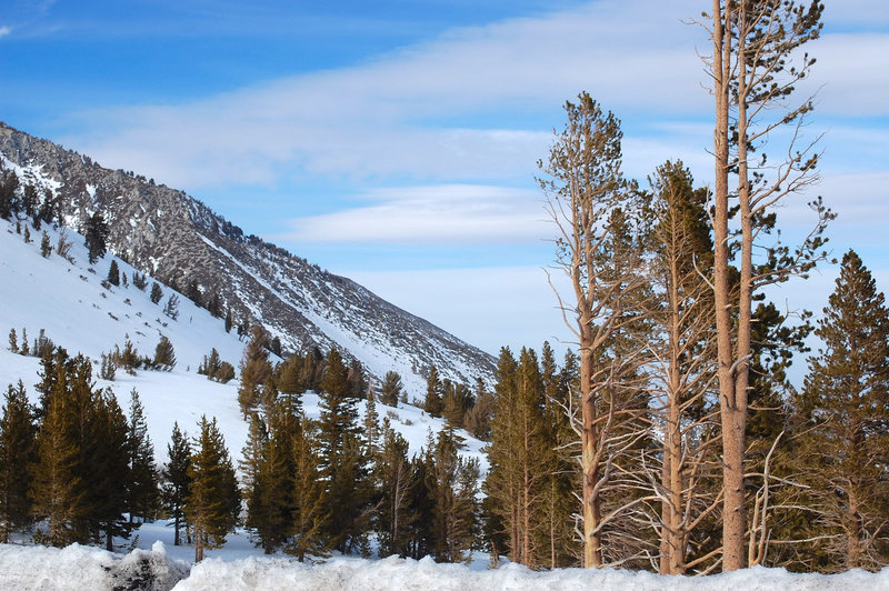 Wintertime is truly splendid spent along the Tahoe Rim Trail.