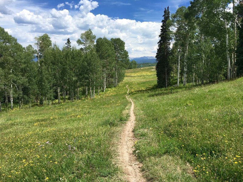 View looking toward Snowmass on descent.