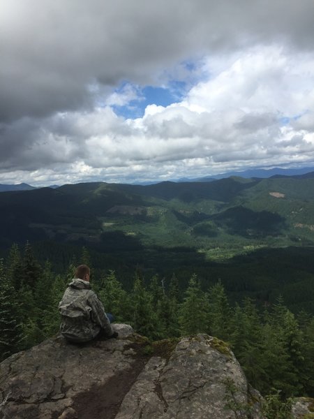 Looking at the canyon below.