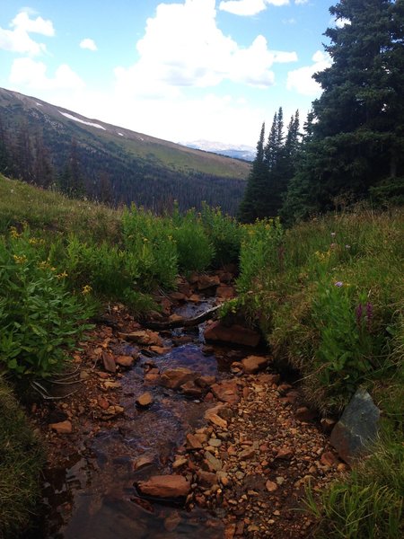 Small creek I crossed just before rejoining the main trail back.