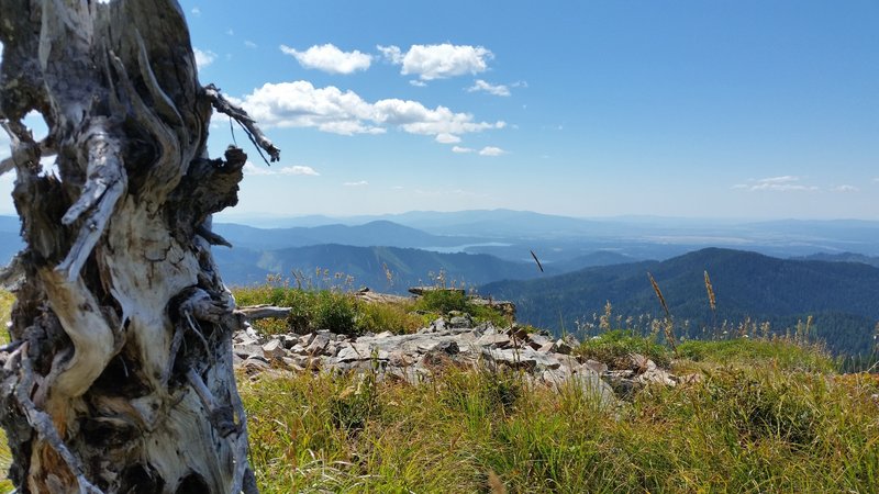 Looking at Hayden Lake from S. Chilco.