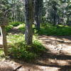 Top junction, Chilco Mountain Trail, Idaho.