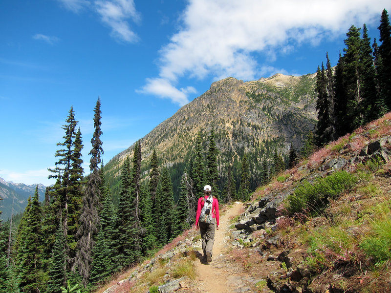 Hiker on Pacific Crest Trail south of Cutthroat Pass.