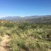 The trail will start to descend presenting great views of the Tanque Verde Valley and Catalina Mountains.