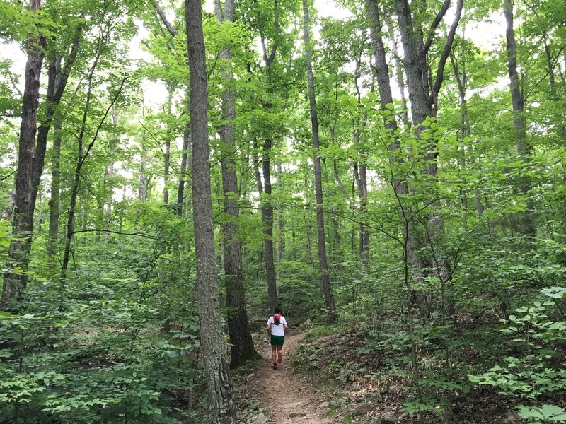 Running the Waterfall Trail.