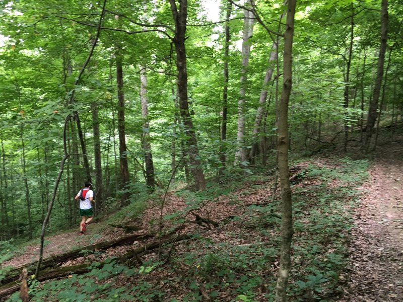 Switchbacks on the Omega Loop.