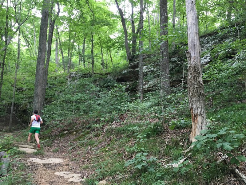 The climber in me had a hard time keeping my eyes on this section of the Lakeshore Bluffs Trail.